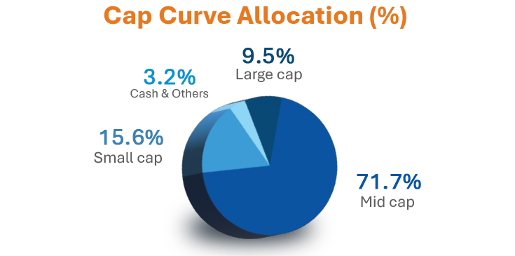 Sundaram Mid Cap Fund: portfolio composition